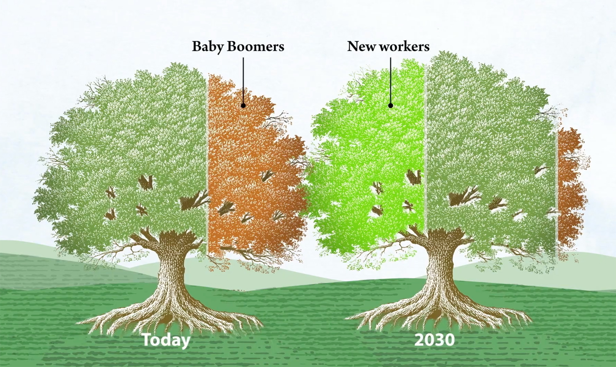 our-future-together-immigrants-the-american-economy-graphicacy