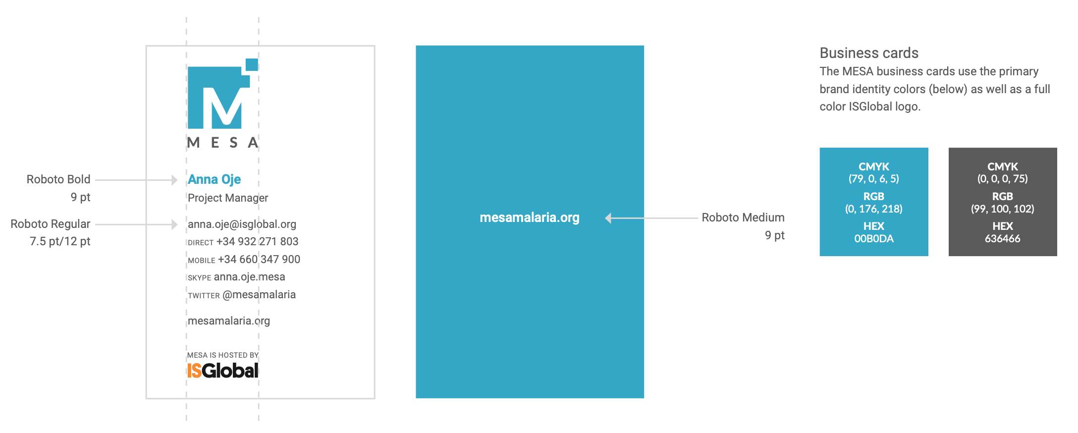 An excerpt from the brand guide Graphicacy built for MESA
